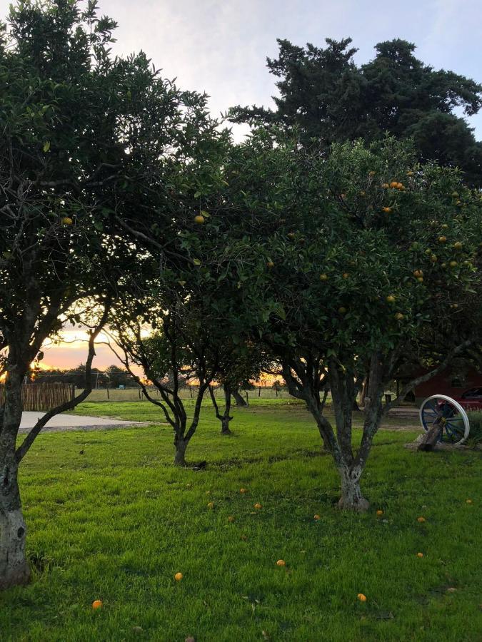 La Tortuga Turismo Rural Διαμέρισμα Carmelo Εξωτερικό φωτογραφία